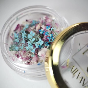 Florile uscate – nuanțe pastelate